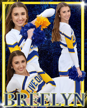 BREELYN VAIVEDICH COLLAGE