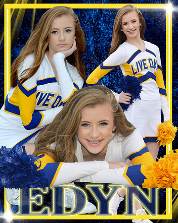 EDYN BELGARD COLLAGE