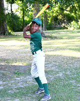 austin martin_9900