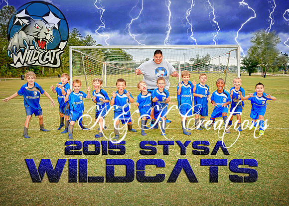 wildcats_team_5
