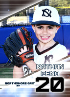 nathan pena Side 1