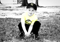 TBALL Gator Graphics