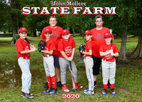 5x7 9-10 boys john mollere state farm team