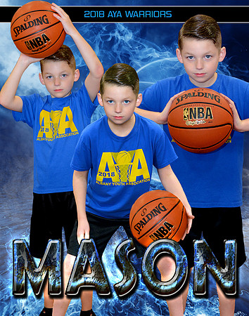 MASON VIOLA COLLAGE