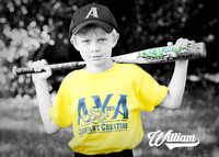 william_bridges_1