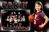 CARLY CRAMER MEMORY MATE