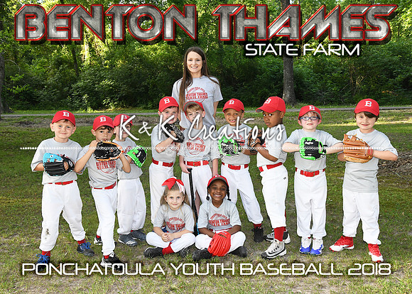 5X7 TBALL BENTON THAMES STATE FARM
