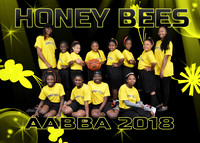 HONEY BEES