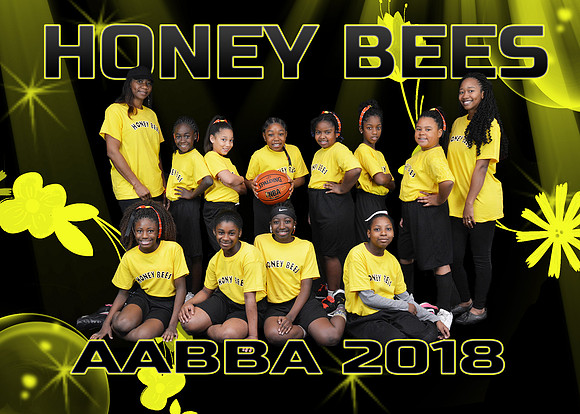 5X7 HONEY BEES AABBA TEAM