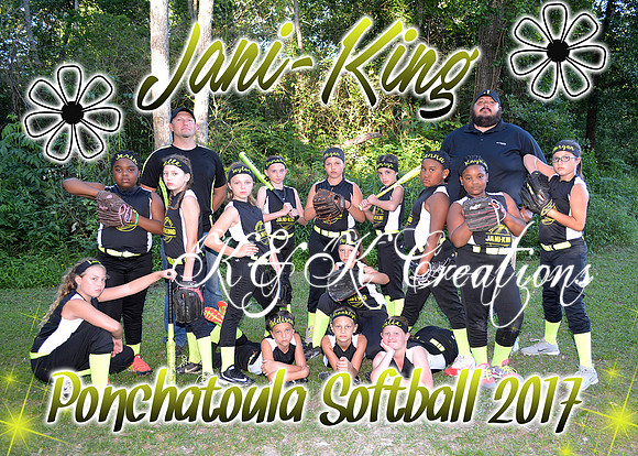 janiking team