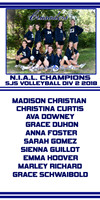 sjs volleyball 2 banner 2018