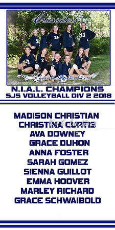 sjs volleyball 2 banner 2018