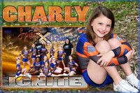 CHARLY MORGAN MEMORY MATE_7605