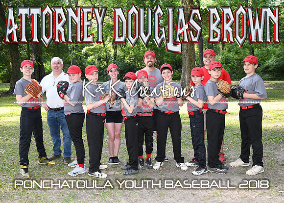 5x7 11-12b attorney douglas brown team