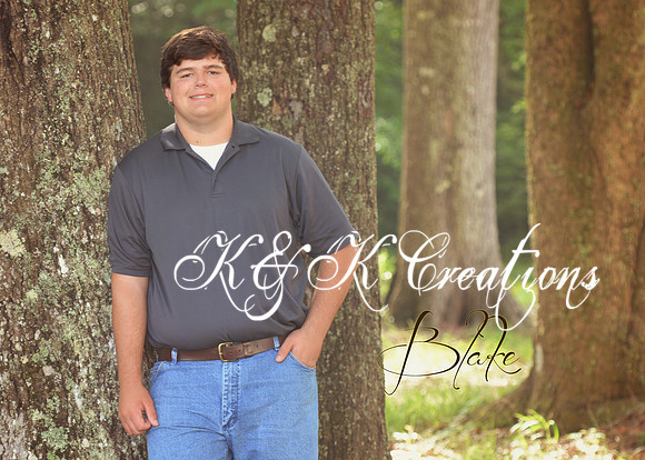 KRS_0994_Blake