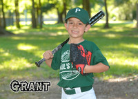 grant_higgs_1