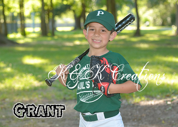 grant_higgs_1