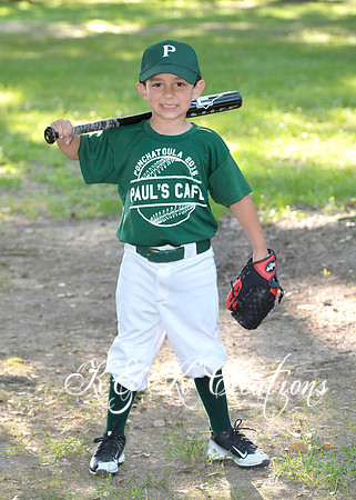 grant_higgs_2
