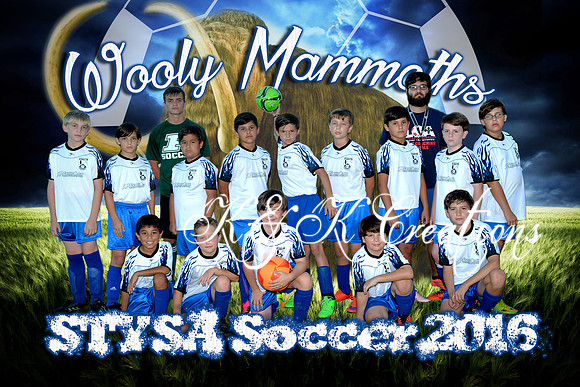 wooly mammouth_team_final