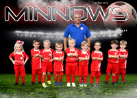 5U JOHN WELLES - MINNOWS