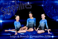 8x12 Sapphires Level 4Team