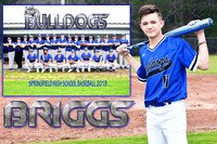 BRIGGS MITCHEL MEMORY MATE