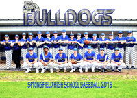 Springfield High School Baseball 2019