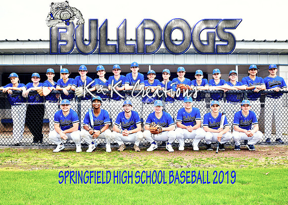 5x7 shsbaseball team 2019