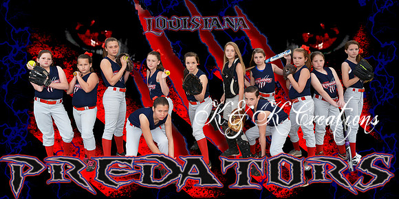 PREDATORS SOFTBALL BANNER