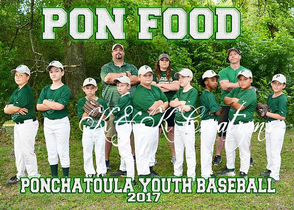 5X7 PON FOOD TEAM