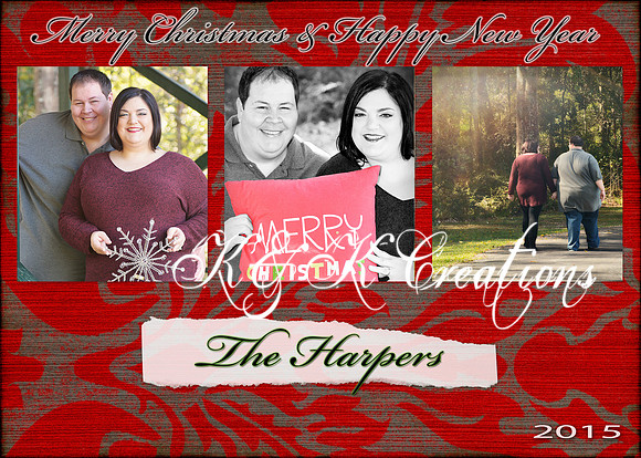 lisa and david card 1