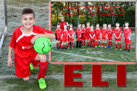 ELI BOURGEOIS MEMORY MATE