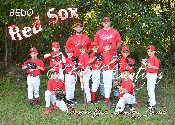 5x7 RED SOX TEAM SYA