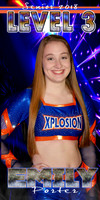 EMILY PORTER 2 SPIRIT BANNER
