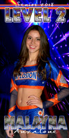 Malayna Anzalone  spirit banner