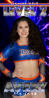 avery meyers spirit banner