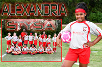 ALEXANDRIA HOOKFIN MEMORY MATE