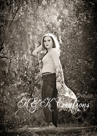 KRS_7818