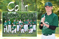 COLLIN FERNANDEZ MEMORY MATE
