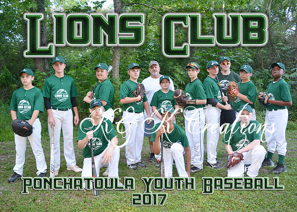 5x7 13-14BOYS LIONS CLUB TEAM
