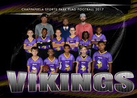VIKINGS 9-11YR
