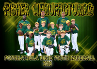 FISHER MANUFACTURING