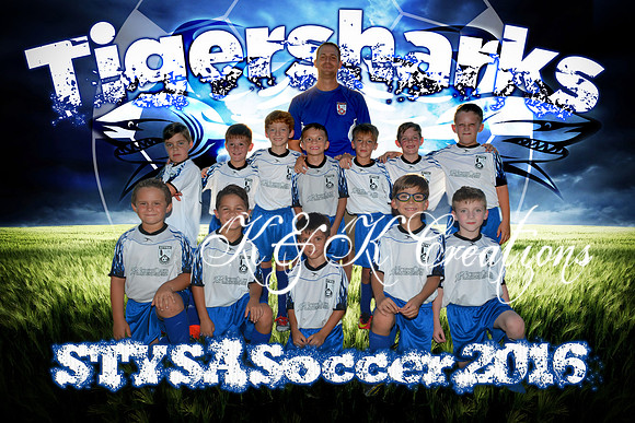 tigersharks team_final