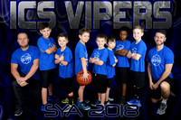 8X12  ICS VIPERS TEAM