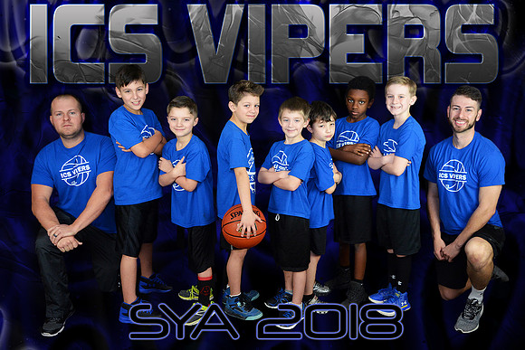 8X12  ICS VIPERS TEAM
