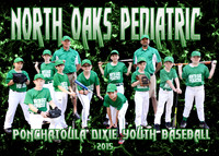 5x7 NORTH OAKS PEDS 9 10 BOYS TEAM
