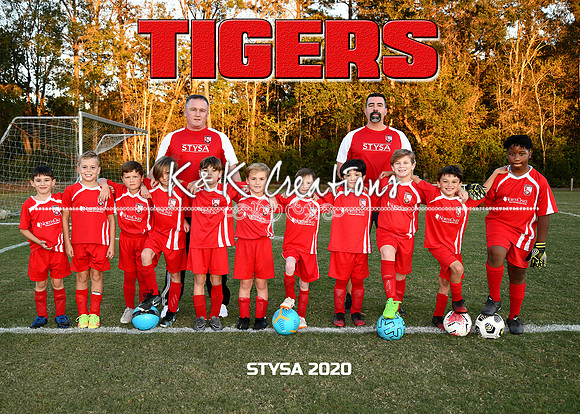 5X7 TIGERS KENNETH JOHNSON TEAM