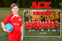 ACE ADAMS MEMORY MATE
