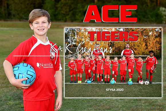 ACE ADAMS MEMORY MATE