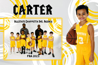 carter perry mm